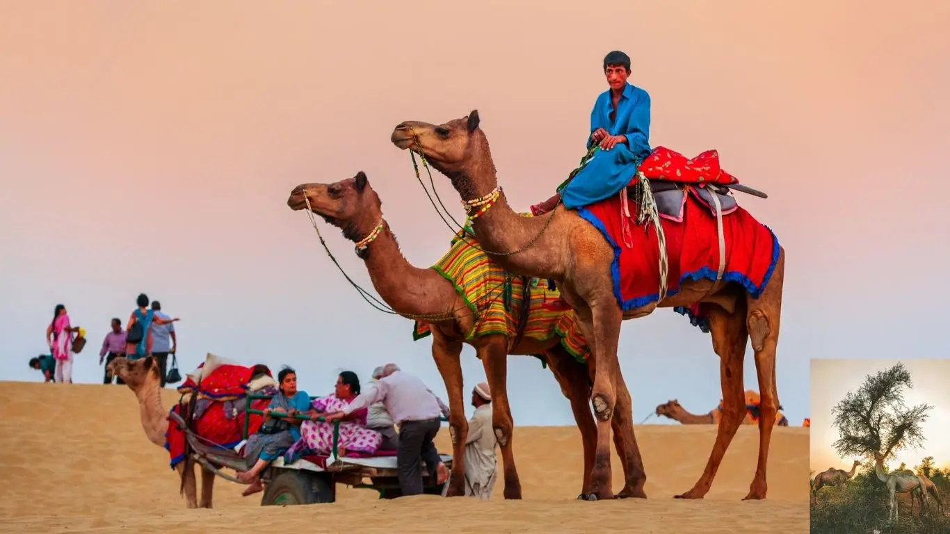 Untitled design rajasthan