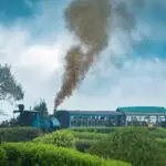 vineet-singh-5MUM_RHvFNY-unsplash